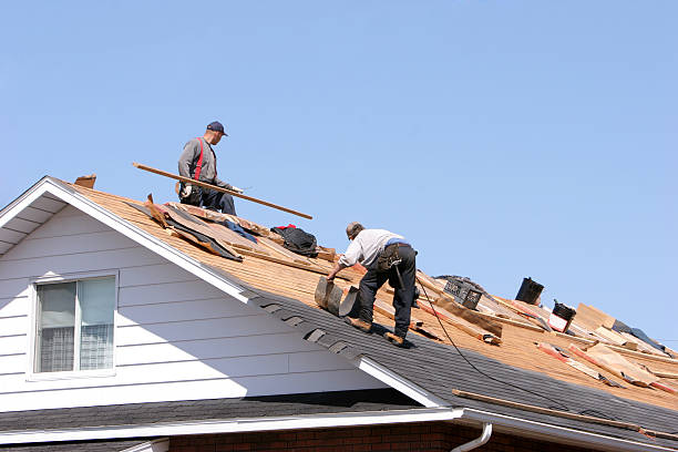 Best Skylight Installation and Repair  in Wyomissing, PA